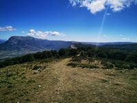 118650628_3264498173631987_2008641724537923847_n